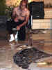 urlaub05270046.jpg (65008 Byte)